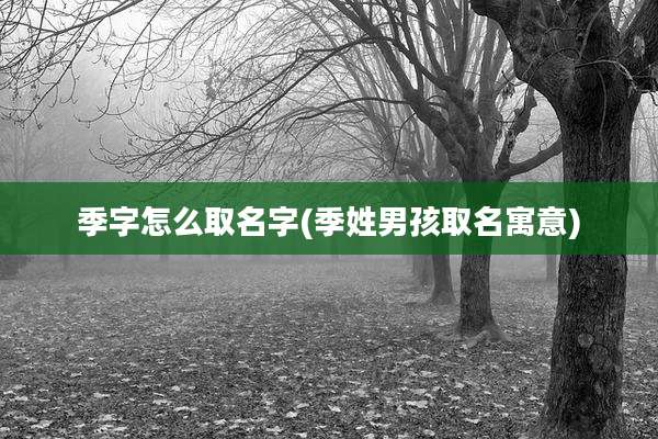 季字怎么取名字(季姓男孩取名寓意)