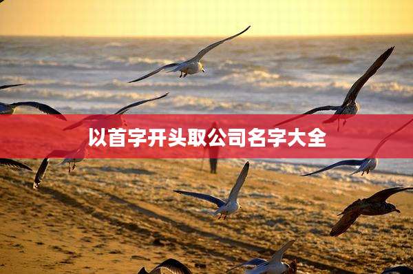 以首字开头取公司名字大全