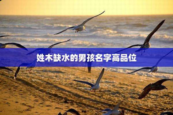 姓木缺水的男孩名字高品位