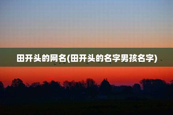 田开头的网名(田开头的名字男孩名字)