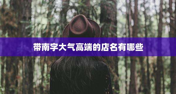 带南字大气高端的店名有哪些