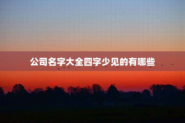 公司名字大全四字少见的有哪些