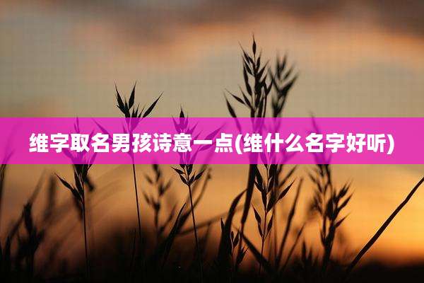 维字取名男孩诗意一点(维什么名字好听)