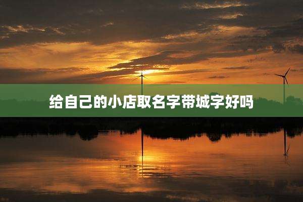 给自己的小店取名字带城字好吗