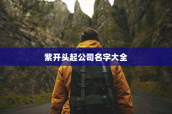 紫开头起公司名字大全