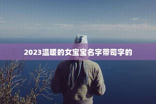 2023温暖的女宝宝名字带司字的