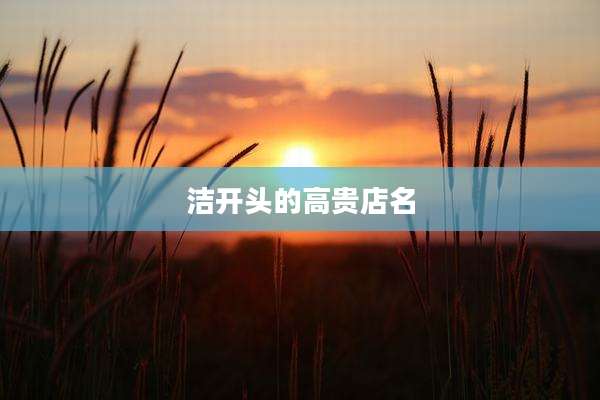 洁开头的高贵店名