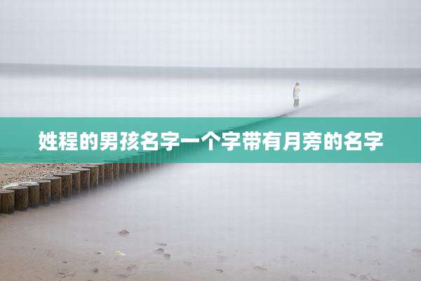 姓程的男孩名字一个字带有月旁的名字
