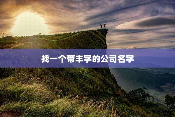 找一个带丰字的公司名字