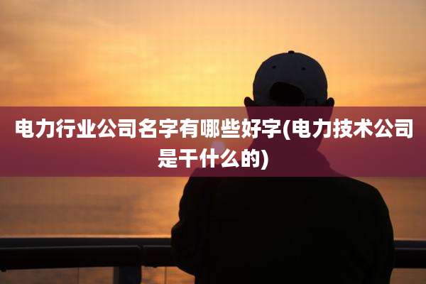 电力行业公司名字有哪些好字(电力技术公司是干什么的)
