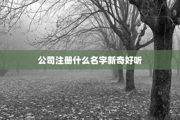 公司注册什么名字新奇好听