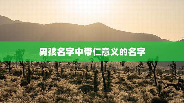 男孩名字中带仁意义的名字