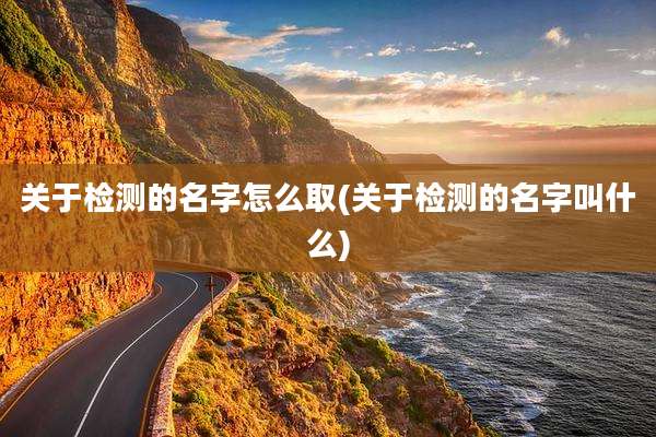 关于检测的名字怎么取(关于检测的名字叫什么)