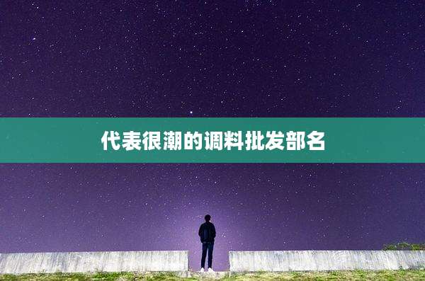 代表很潮的调料批发部名
