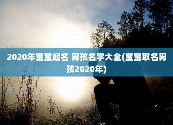 2020年宝宝起名 男孩名字大全(宝宝取名男孩2020年)