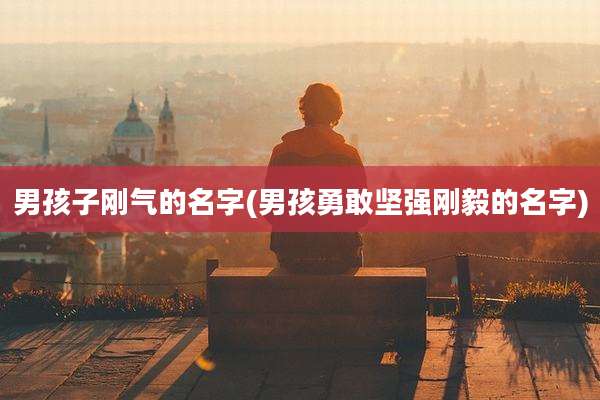 男孩子刚气的名字(男孩勇敢坚强刚毅的名字)