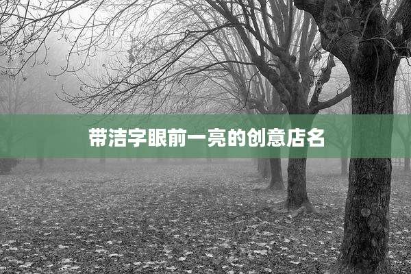 带洁字眼前一亮的创意店名