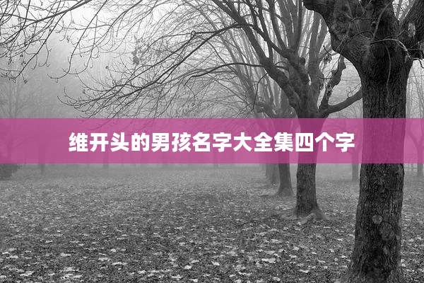 维开头的男孩名字大全集四个字