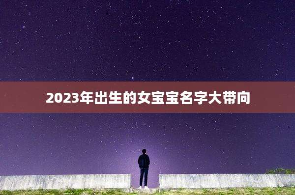2023年出生的女宝宝名字大带向