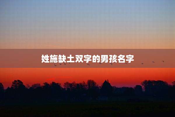 姓施缺土双字的男孩名字