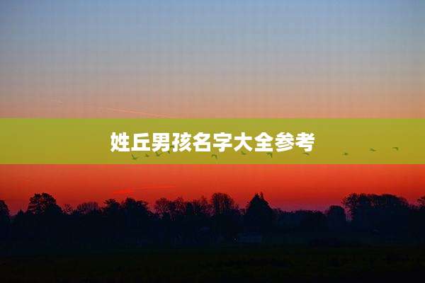 姓丘男孩名字大全参考