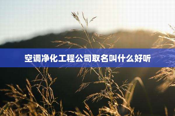 空调净化工程公司取名叫什么好听