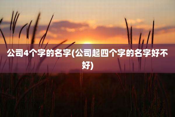 公司4个字的名字(公司起四个字的名字好不好)