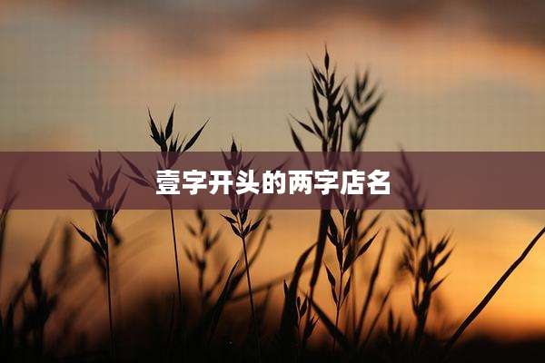 壹字开头的两字店名
