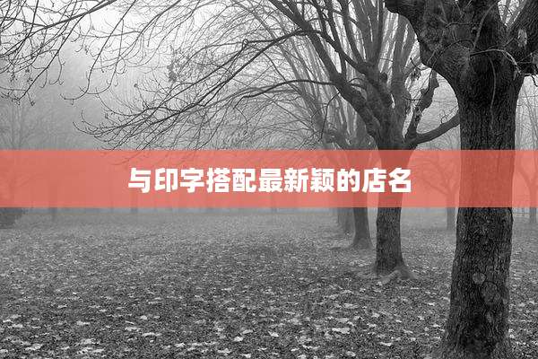 与印字搭配最新颖的店名