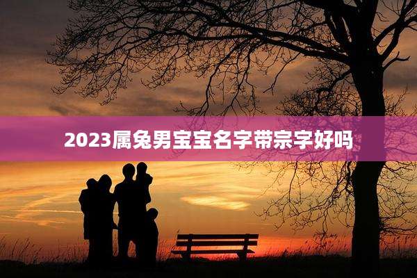 2023属兔男宝宝名字带宗字好吗