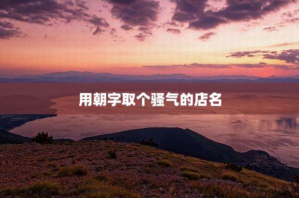 用朝字取个骚气的店名