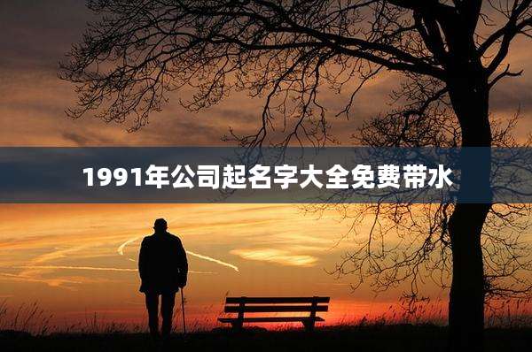1991年公司起名字大全免费带水