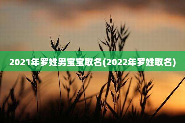 2021年罗姓男宝宝取名(2022年罗姓取名)