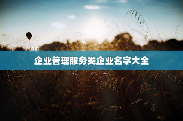 企业管理服务类企业名字大全