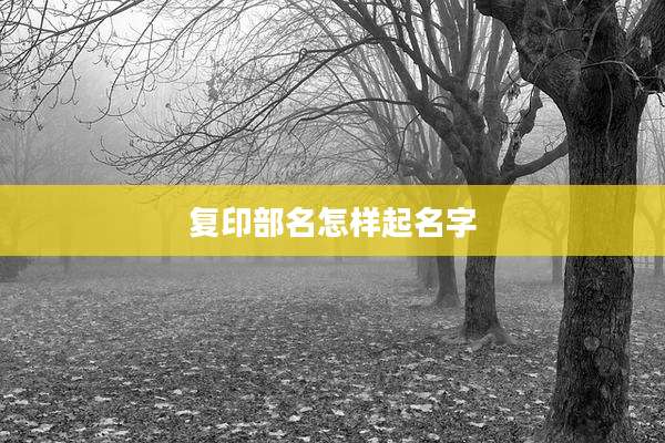 复印部名怎样起名字