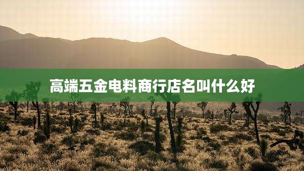 高端五金电料商行店名叫什么好