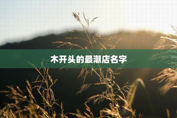木开头的最潮店名字