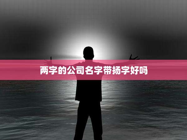 两字的公司名字带扬字好吗