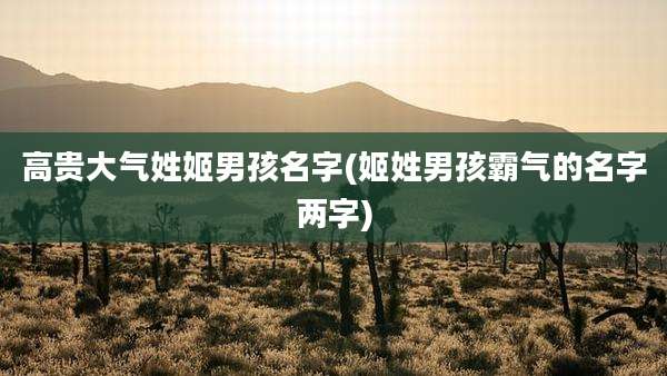 高贵大气姓姬男孩名字(姬姓男孩霸气的名字两字)