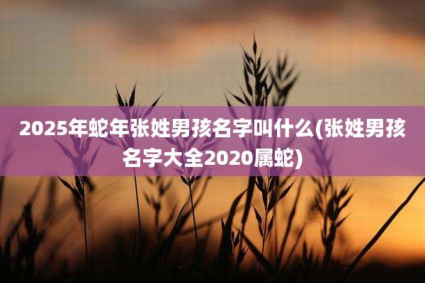 2025年蛇年张姓男孩名字叫什么(张姓男孩名字大全2020属蛇)