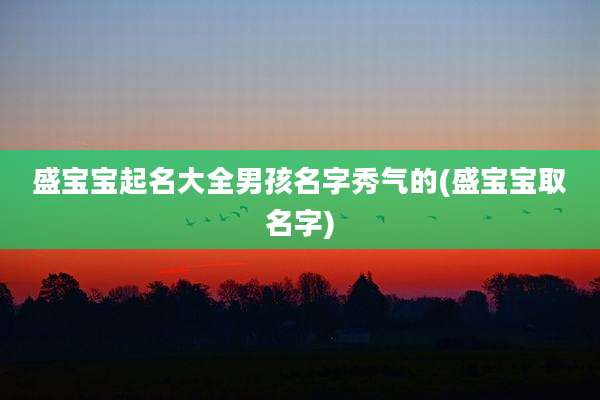 盛宝宝起名大全男孩名字秀气的(盛宝宝取名字)