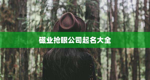 磁业抢眼公司起名大全