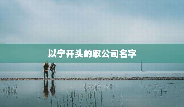 以宁开头的取公司名字