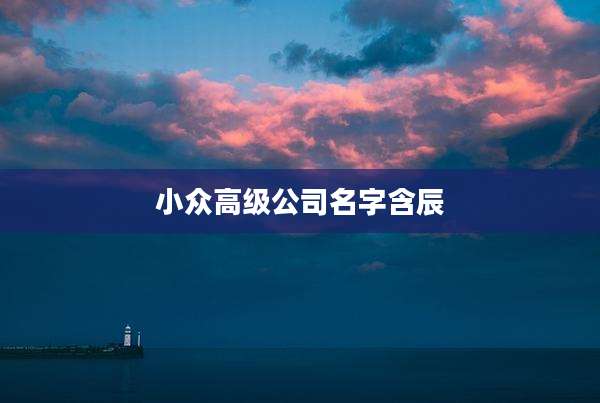 小众高级公司名字含辰