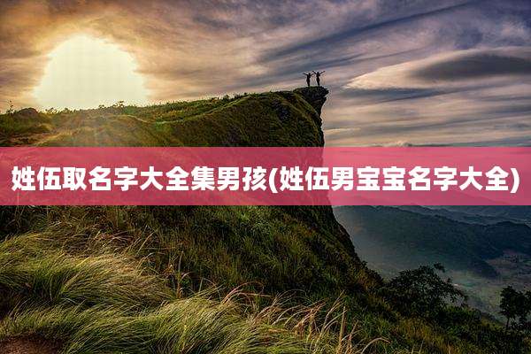 姓伍取名字大全集男孩(姓伍男宝宝名字大全)