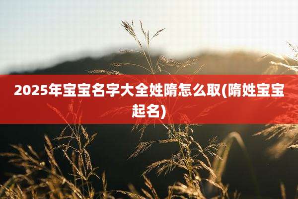 2025年宝宝名字大全姓隋怎么取(隋姓宝宝起名)
