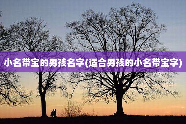 小名带宝的男孩名字(适合男孩的小名带宝字)