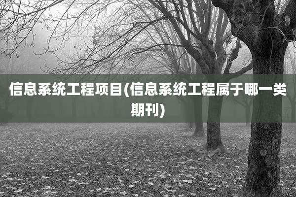 信息系统工程项目(信息系统工程属于哪一类期刊)