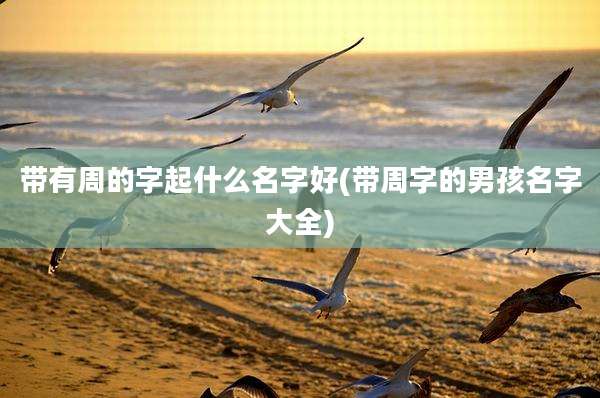 带有周的字起什么名字好(带周字的男孩名字大全)