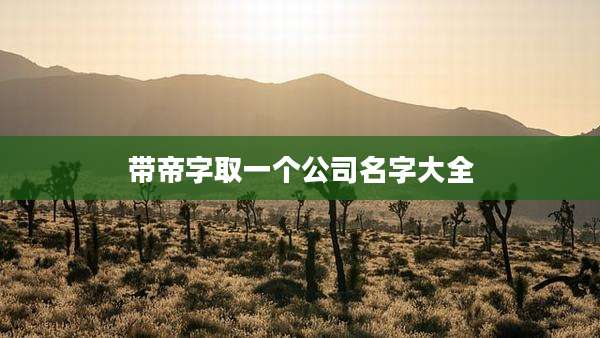 带帝字取一个公司名字大全